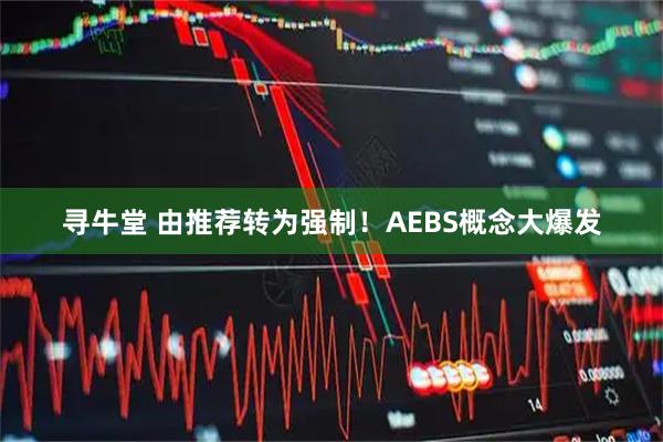 寻牛堂 由推荐转为强制！AEBS概念大爆发